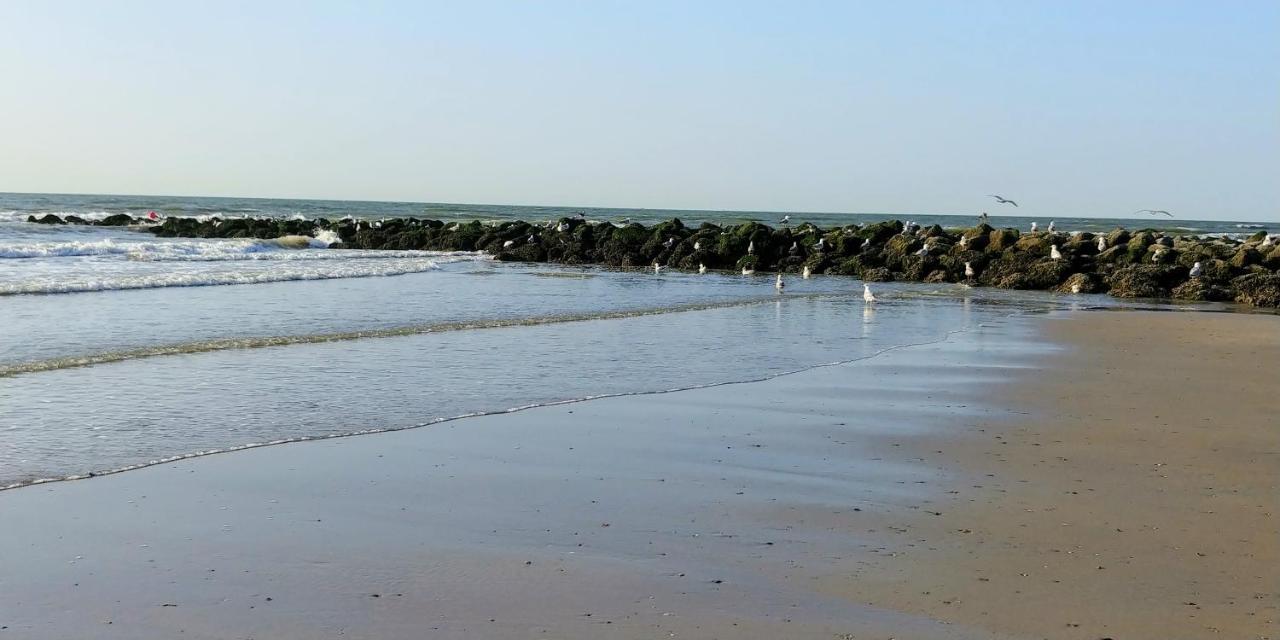 Sunny Bank Westende Zeezicht Middelkerke Buitenkant foto